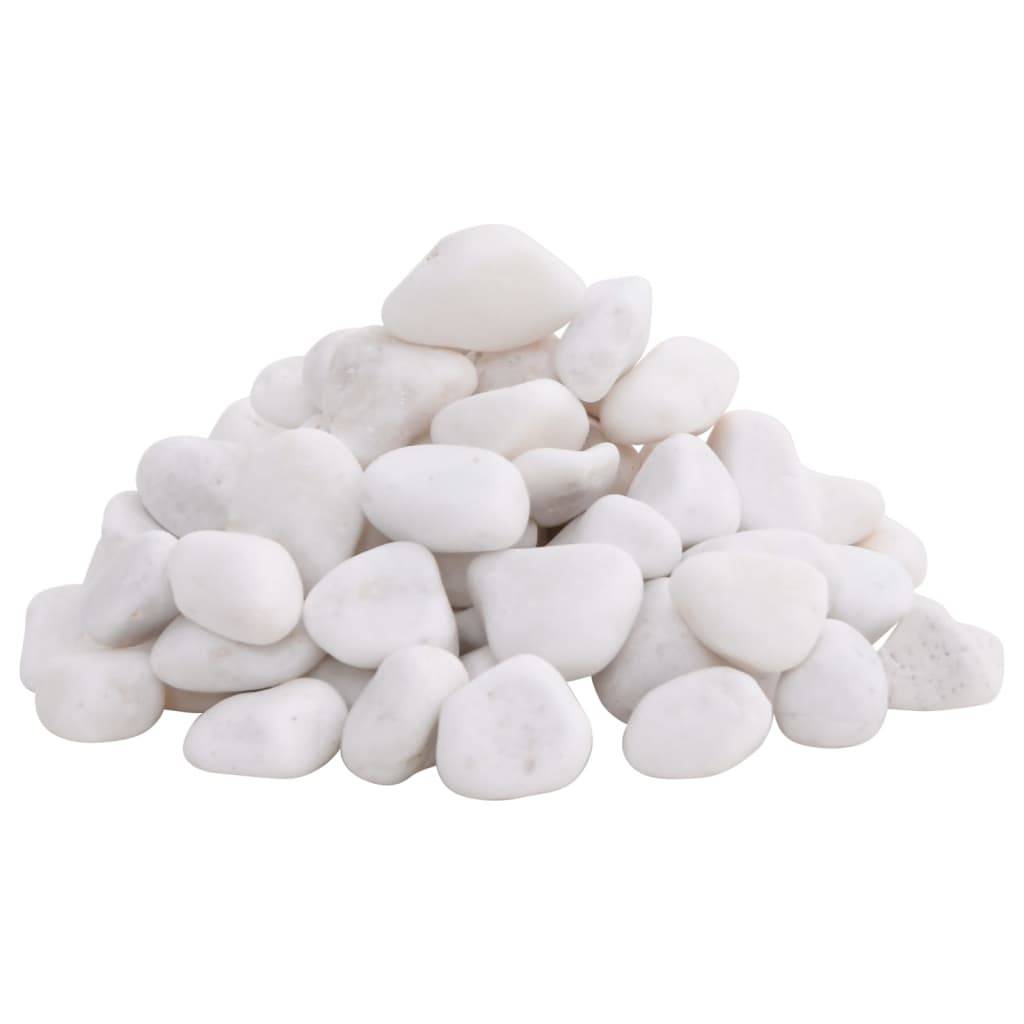 Vidaxl - Galets polis 10 kg blanc 2-5 cm vidaXL 155329 - Image 2