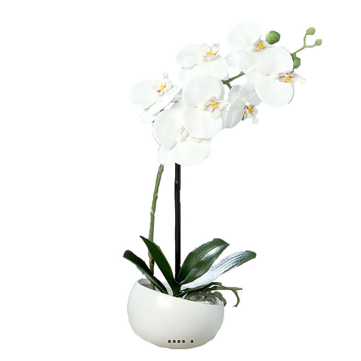Artificielles - Orchidée factice 1 hampe coupe céramique H40cm touché réel Blanc neige - couleur: Blanc neige - Imagen 1