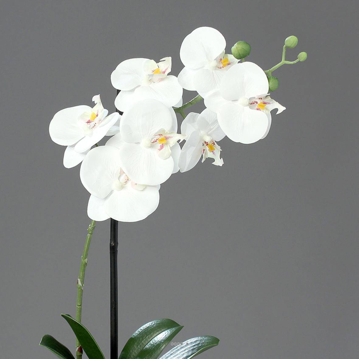 Artificielles - Orchidée factice 1 hampe coupe céramique H40cm touché réel Blanc neige - couleur: Blanc neige - Imagen 2