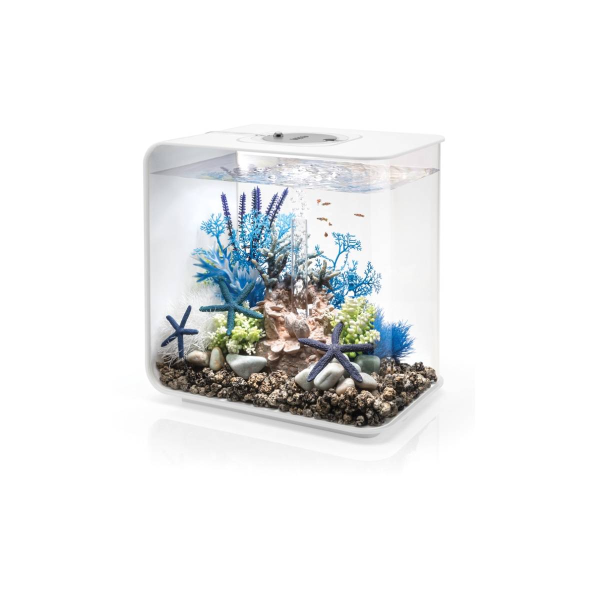 Oase - Aquarium décoratif 30l mcr avec cadre blanc FLOW30MCR WHITE Oase - Image 1