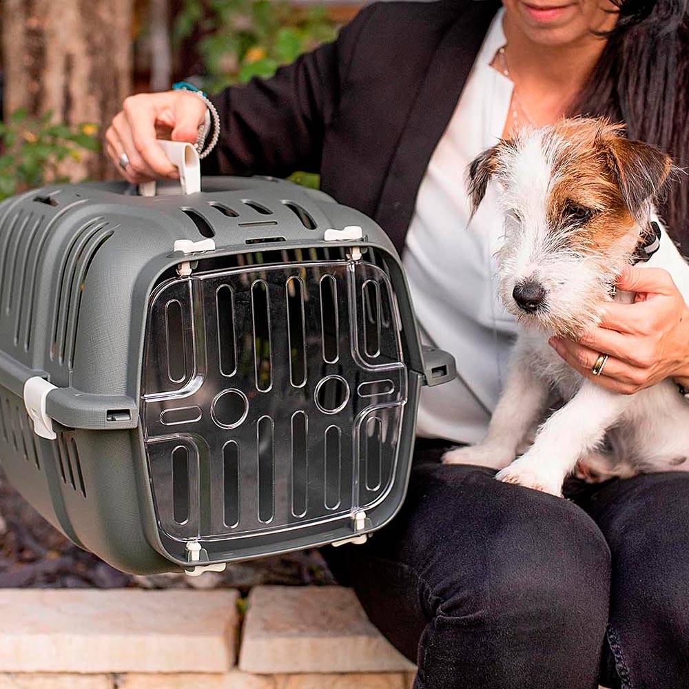 Ferplast - Ferplast Caisse de Transport Chat, Cage de Transport pour Chiens Petits et Chats jusqu'à 5 Kg, Porte Transparente Antichoc, Fentes d'aération, 32 x 47 - Imagen 3