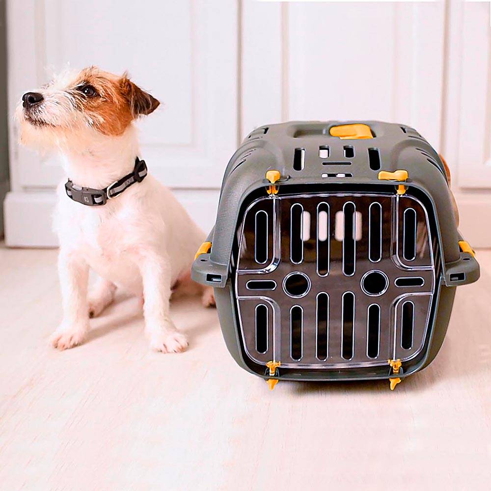 Ferplast - Ferplast Caisse de Transport Chat, Cage de Transport pour Chiens Petits et Chats jusqu'à 5 Kg, Porte Transparente Antichoc, Fentes d'aération, 32 x 47 - Imagen 4