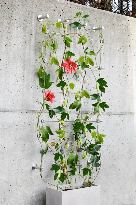 Autre - Greenkit 4 Support plantes grimpantes treillis acier inoxydable 960 X 2000mm Jakob Rope Systems - Image 2
