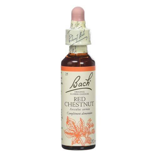 Red Chestnut -  Fleurs de Bach n°25 Fleur de Bach