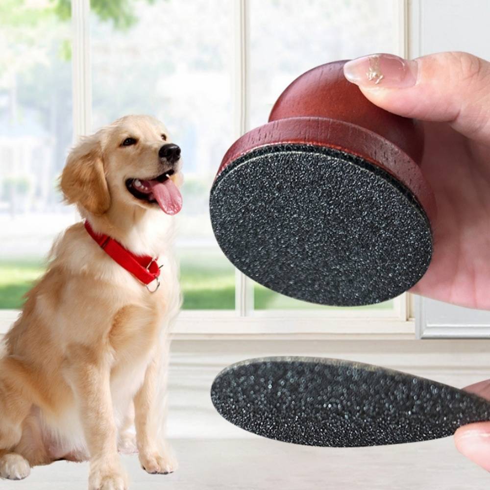 IntiMeg - Polissoir à ongles en bois pour chien IntiMeg - Imagen 2