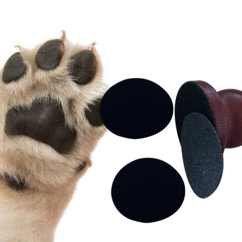 IntiMeg - Polissoir à ongles en bois pour chien IntiMeg - Imagen 4