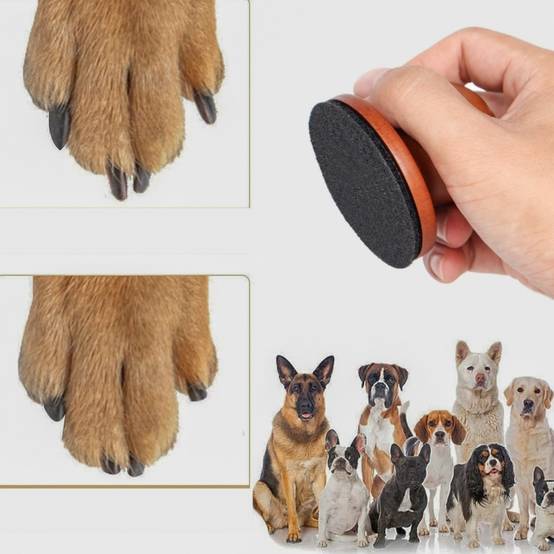 IntiMeg - Polissoir à ongles en bois pour chien IntiMeg - Imagen 3