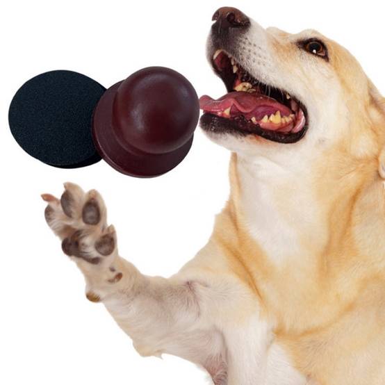 IntiMeg - Polissoir à ongles en bois pour chien IntiMeg - Imagen 5