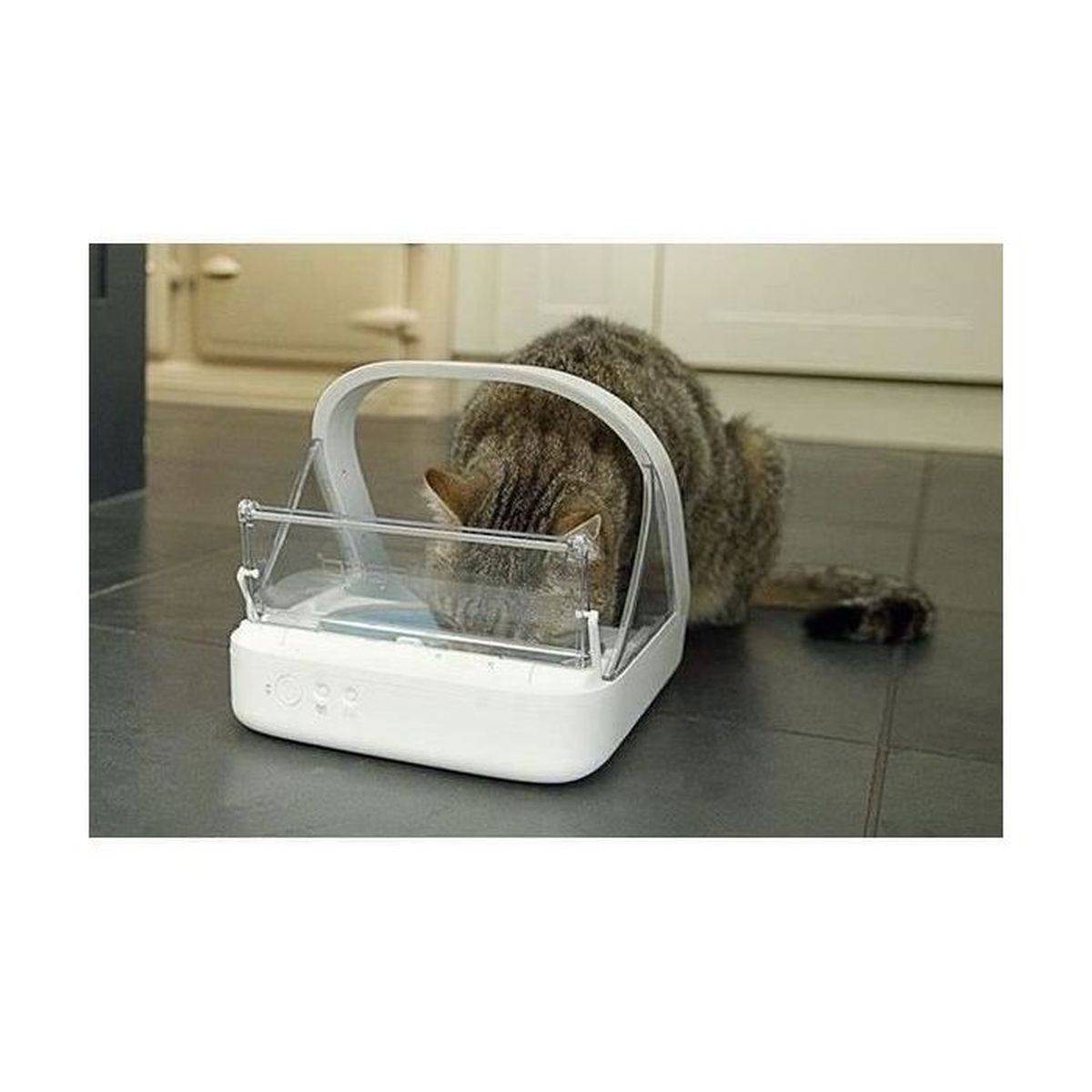 SUREFLAP - Distributeur de nourriture à puce électronique Surefeed, pour chat et petit chien, ouverture RFID, couvercle transparent - SUREFLAP - Image 6