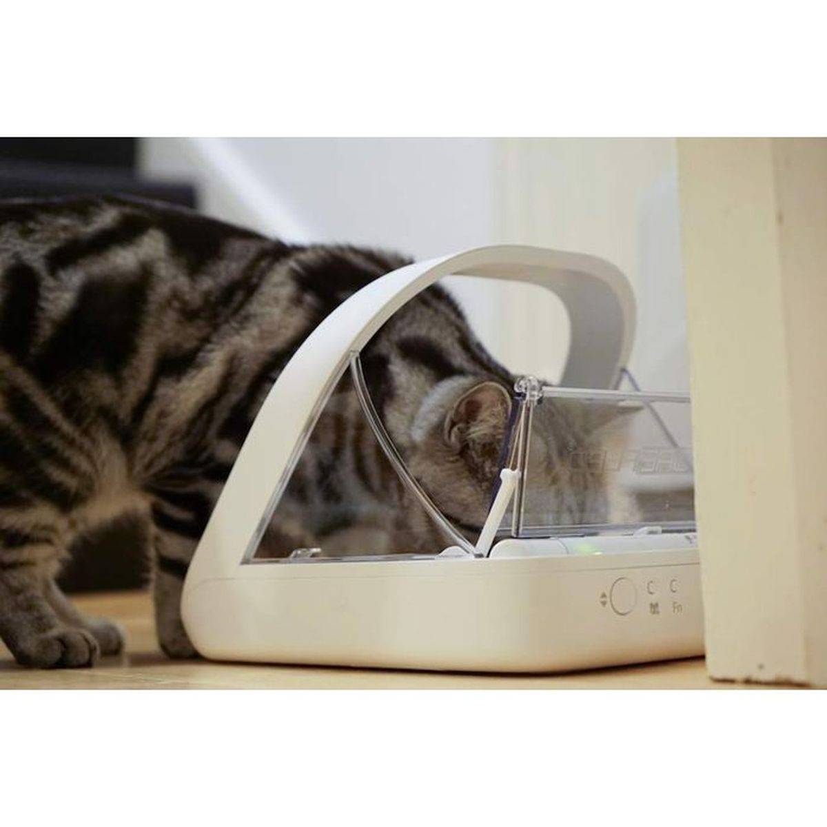 SUREFLAP - Distributeur de nourriture à puce électronique Surefeed, pour chat et petit chien, ouverture RFID, couvercle transparent - SUREFLAP - Image 5
