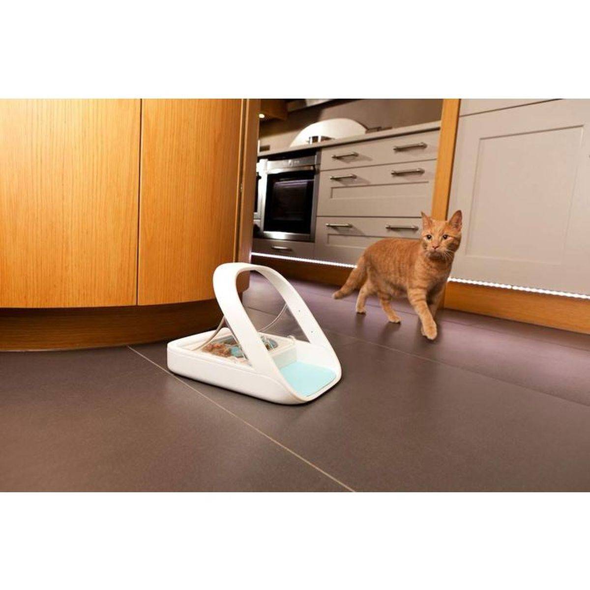 SUREFLAP - Distributeur de nourriture à puce électronique Surefeed, pour chat et petit chien, ouverture RFID, couvercle transparent - SUREFLAP - Image 7