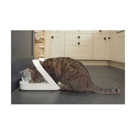 SUREFLAP - Distributeur de nourriture à puce électronique Surefeed, pour chat et petit chien, ouverture RFID, couvercle transparent - SUREFLAP - Image 4
