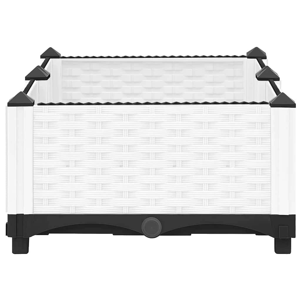 Lit surélevé Polypropylène Blanc 80 x 40 x 23 cm - PANGIVO - Image 5