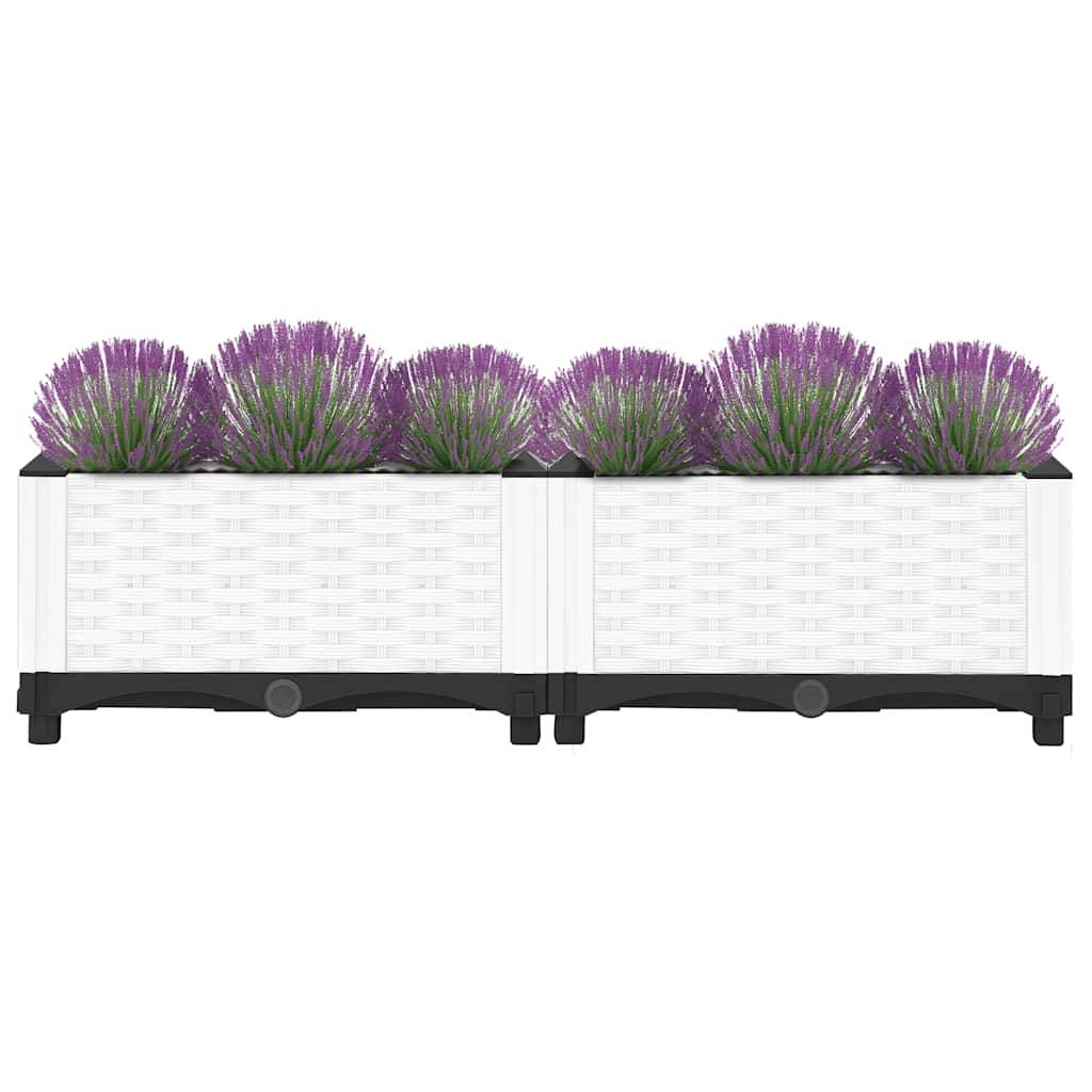 Lit surélevé Polypropylène Blanc 80 x 40 x 23 cm - PANGIVO - Image 3