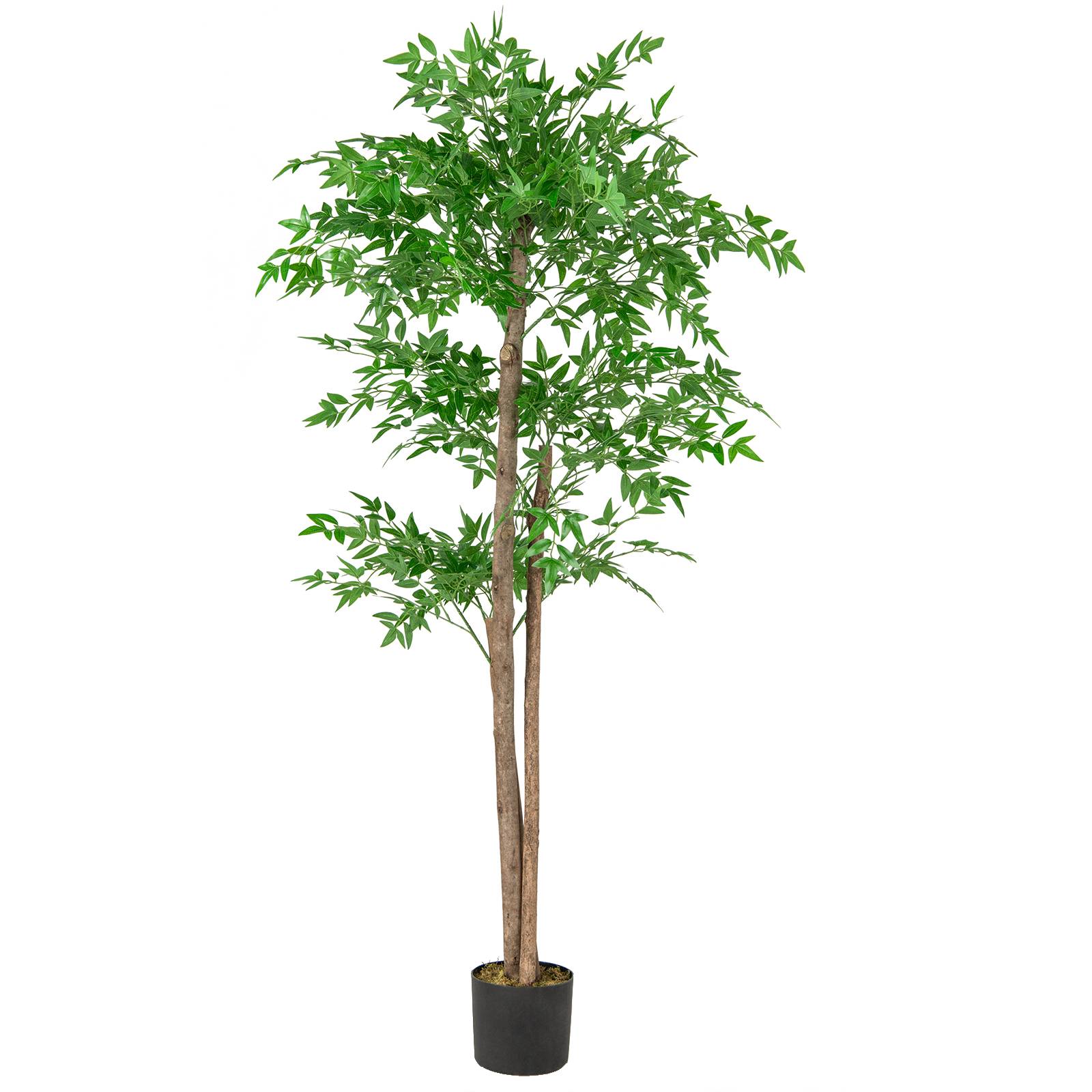 Plante Artificielle de 150 cm, Imitation Bambou avec 1 020 Feuilles Tronc en Bois Naturel Mousse Séchée Réaliste Pot de Pépinière, pour Salon Bureau - Image 1