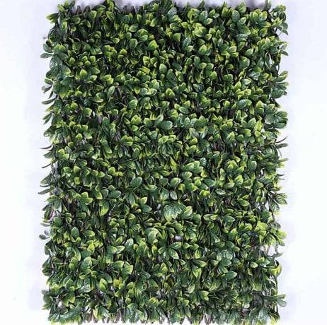 Treillis feuilles Troène doré - H 1 mètre, Long 22 m - Imagen 1