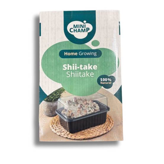 mini champ - Kit culture Shii-take Minichamp 3 litres