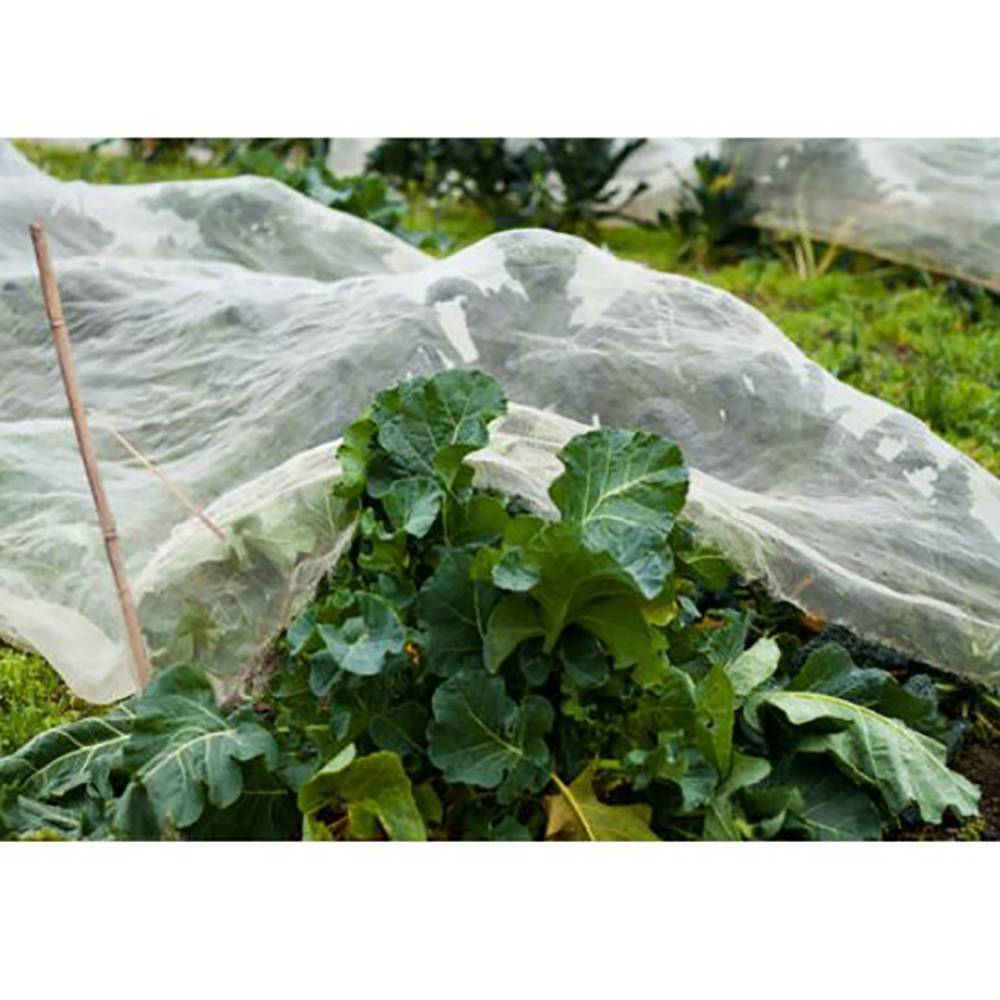 Dare Win Store - Filet de protection contre les insectes 2,5x10 m - Imagen 2