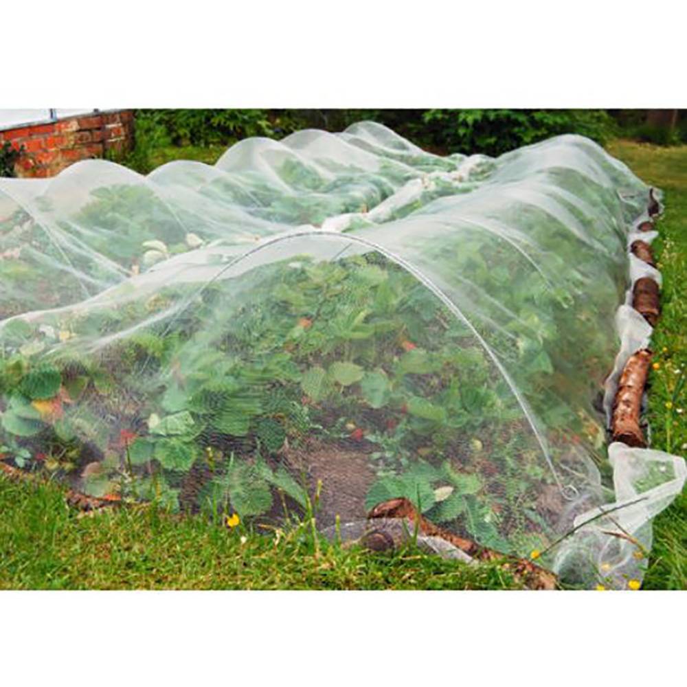 Dare Win Store - Filet de protection contre les insectes 2,5x10 m - Imagen 1