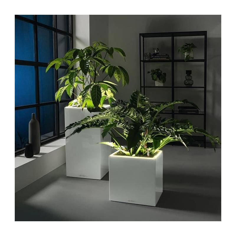 Lechuza - Pot De Fleur Lechuza Canto Premium Colonne 40 - Kit Complet Led, Blanc Brillant - Image 5