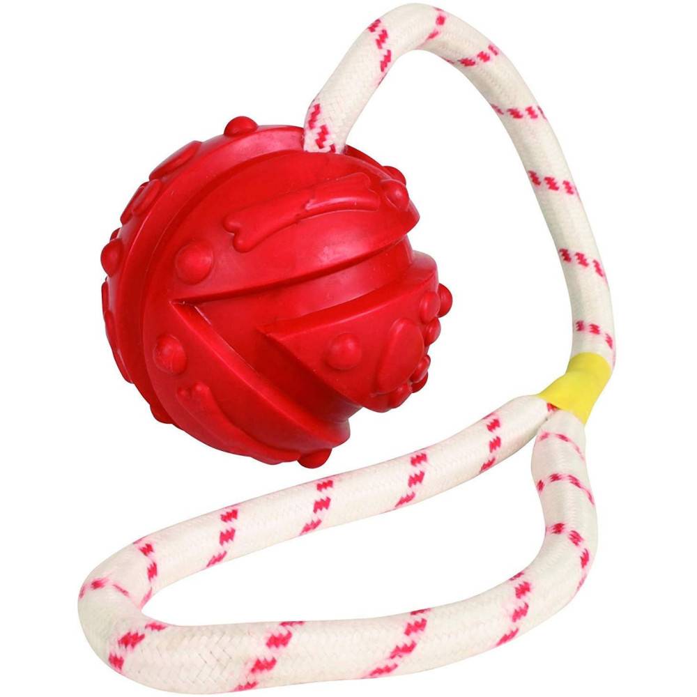 animallparadise - Jeu aquatique Balle sur corde, Dimensions: ø 7 x 35 cm, couleur aléatoire, pour votre chien. - Imagen 1