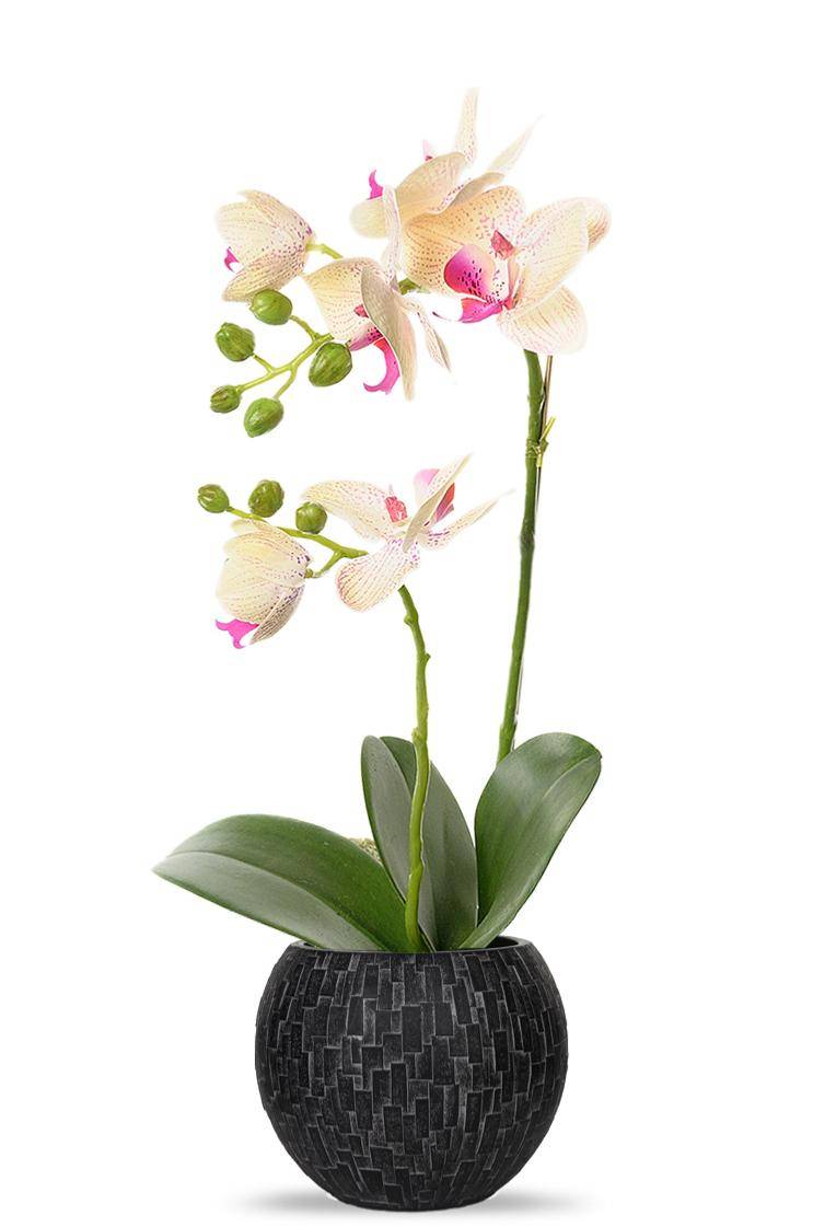 Artificielles - Orchidee artificielle 2 hampes en pot H 40 cm touché réel Vanille - couleur: Vanille - Imagen 2