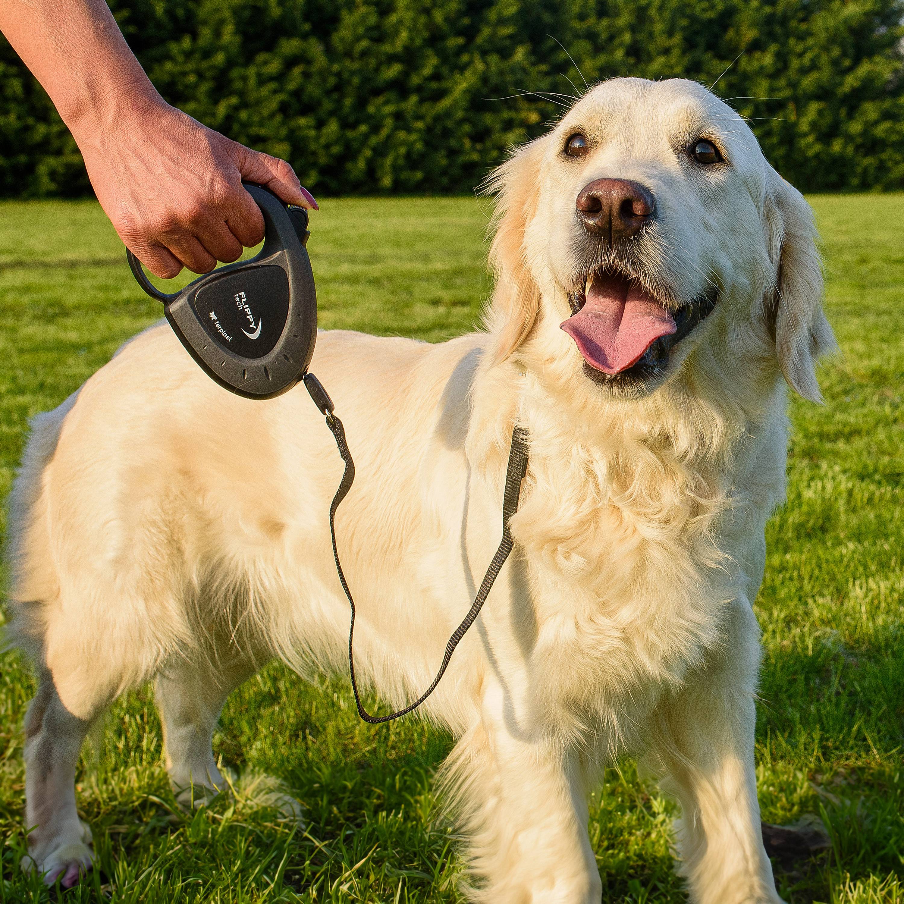 Ferplast - Ferplast Laisse Chien Enrouleur FLIPPY TECH, Laisse Chiens de Taille Moyenne jusqu'à 25 Kg. Sangle Extensible max 3 m. Bouton de verrouillage et de - Imagen 4