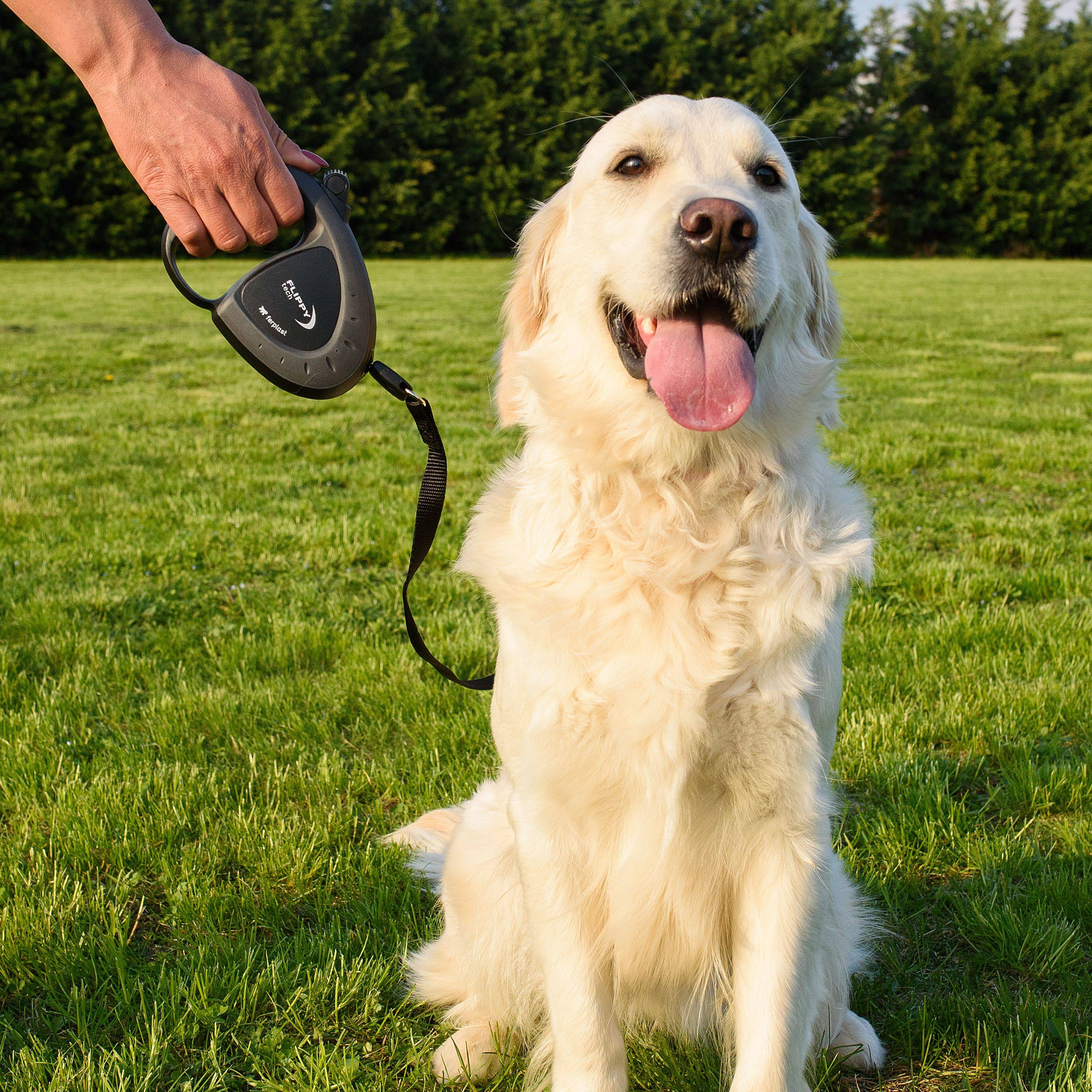 Ferplast - Ferplast Laisse Chien Enrouleur FLIPPY TECH, Laisse Chiens de Taille Moyenne jusqu'à 25 Kg. Sangle Extensible max 3 m. Bouton de verrouillage et de - Imagen 3