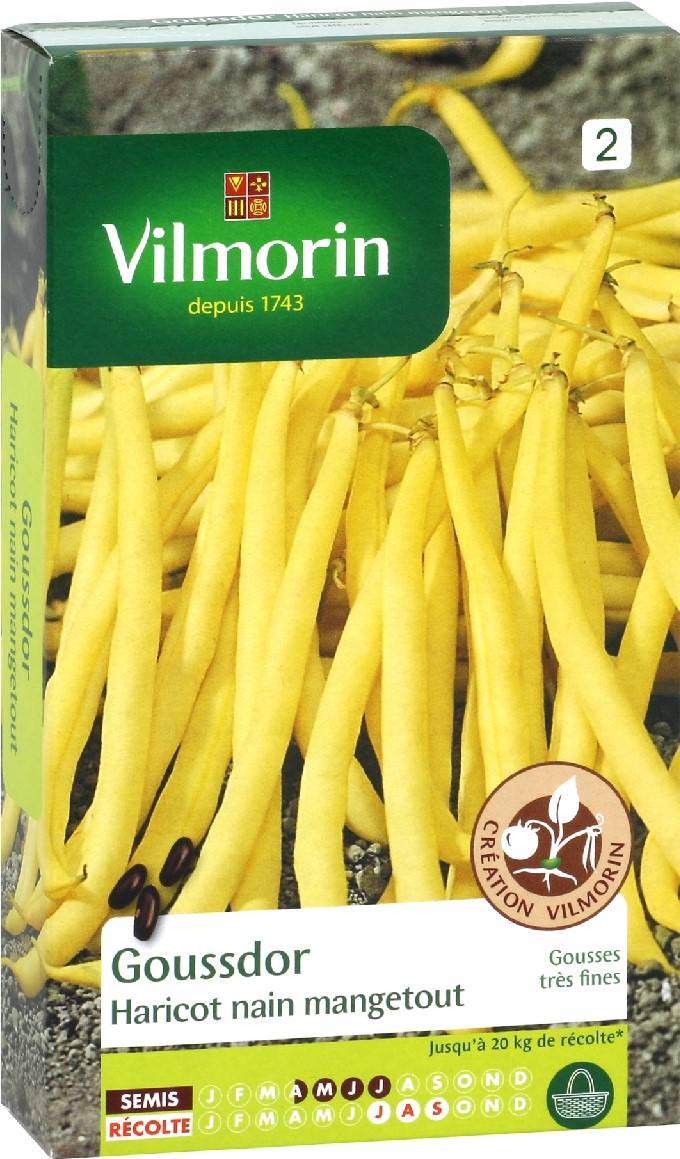Vilmorin - Vilmorin, graines de haricot Nain Beurre Goussdor, 0,200 kg