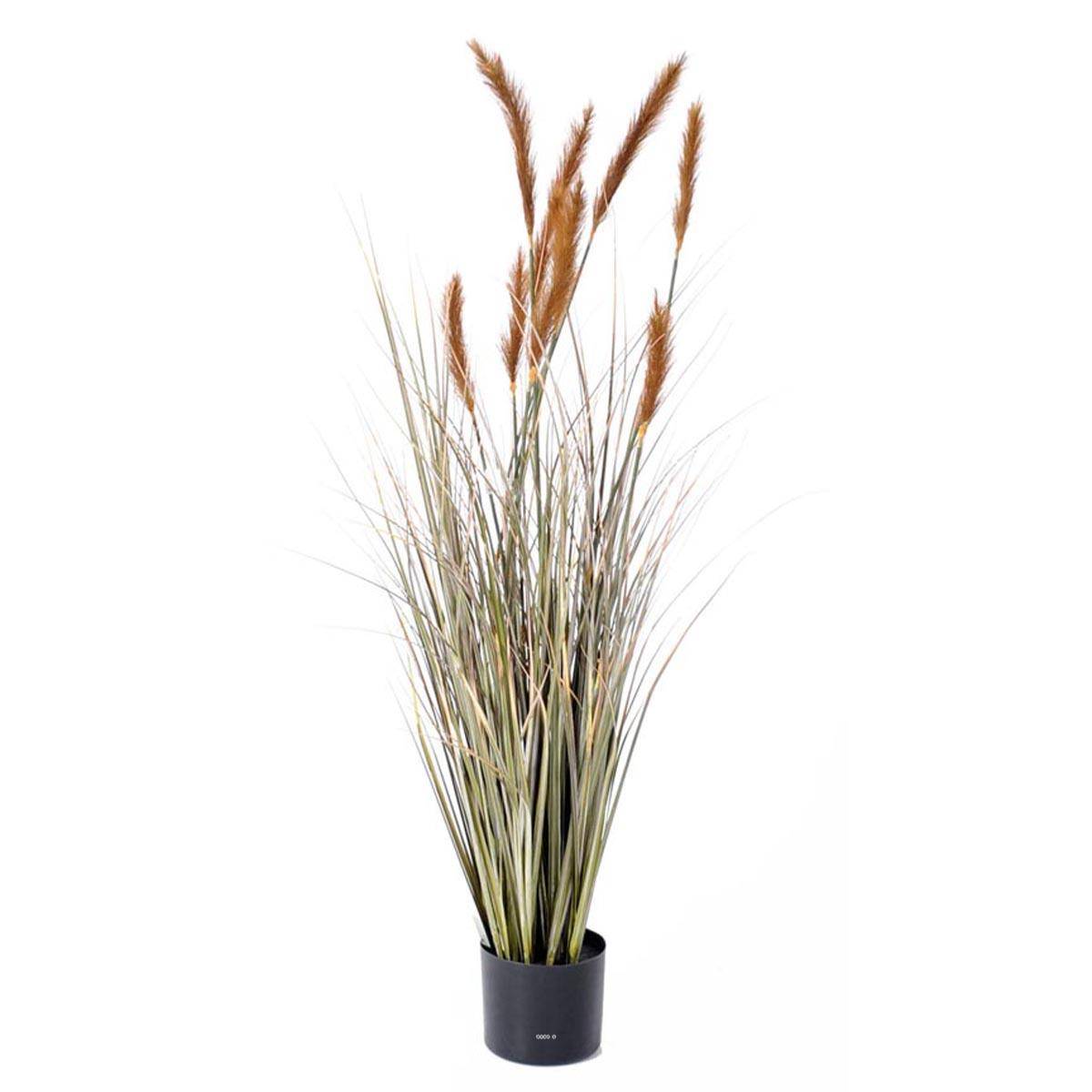 Artificielles - Graminée en pot factice plante eau & quenouille H120cm D40cm Caramel - dimhaut: H 120 cm - couleur: Caramel - Imagen 1