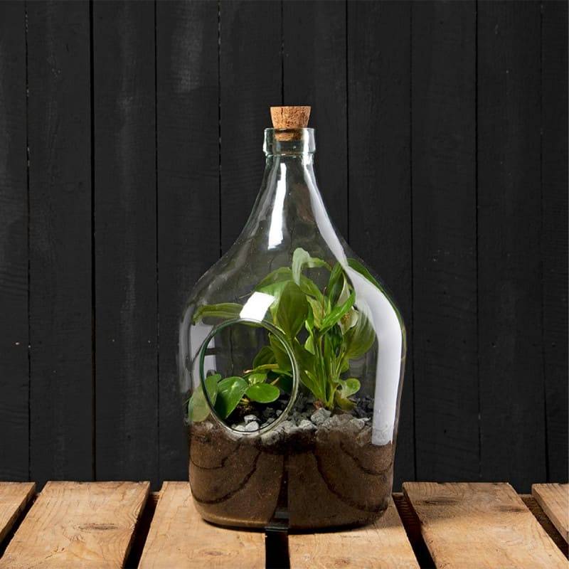 Esschert Design - Bouteille terrarium 5 Litres - Esschert Design - Image 4