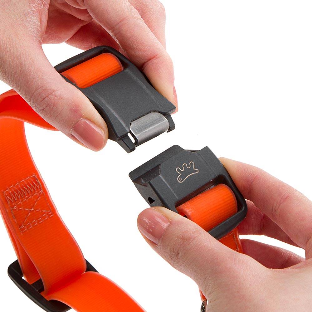 Ferplast - Collier pour Chiens EVOLUTION C25/70 avec Boucle Magnétique, Hypoallergénique, Lavable, Vert - Imagen 7