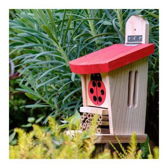 Wildlife world - Lodge pour coccinelles - Image 2