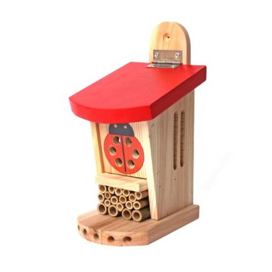 Wildlife world - Lodge pour coccinelles - Image 3
