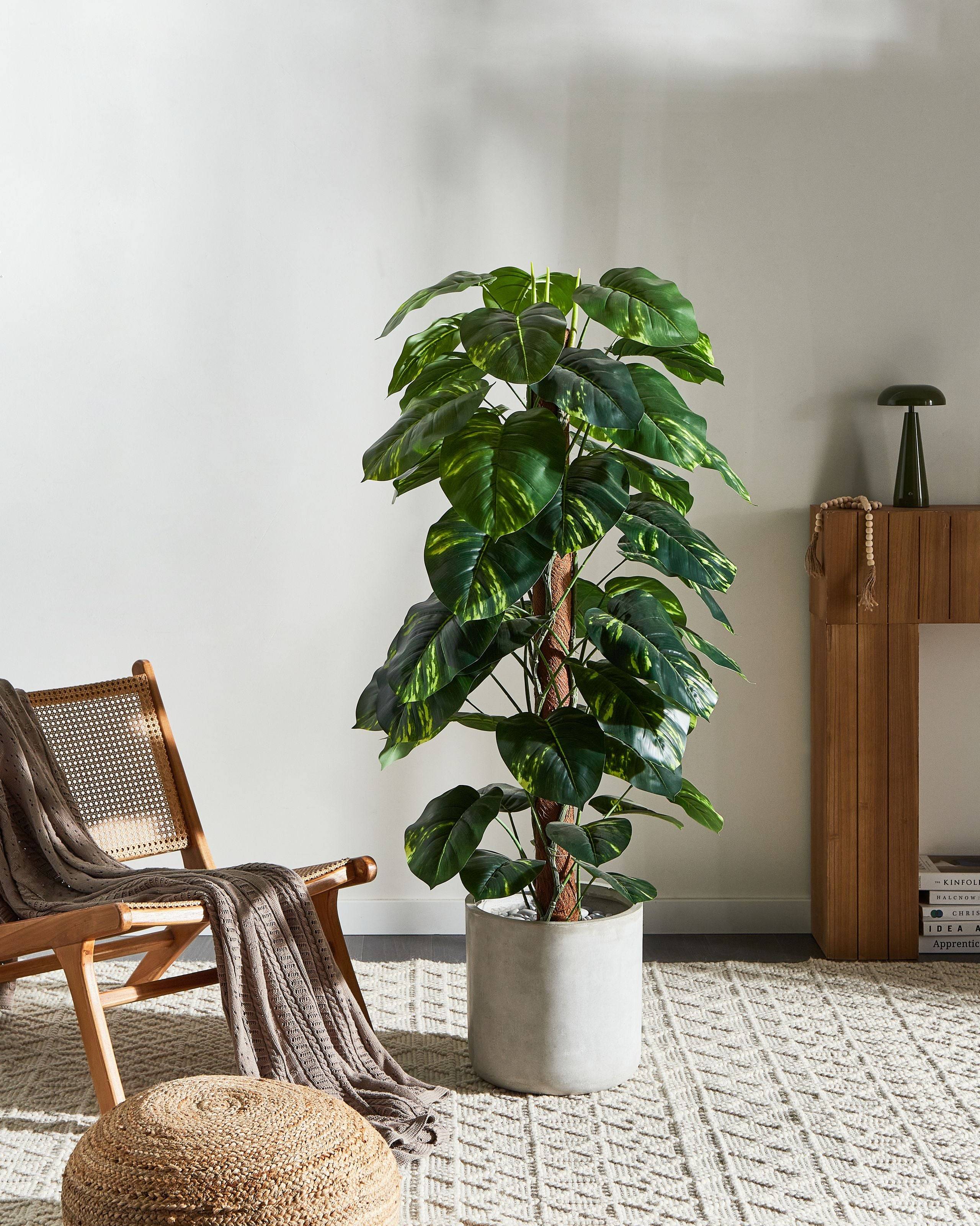 Beliani - Plante artificielle Matière synthétique Vert DIEFFENBACHIA - 86x86x152- Beliani - Image 1