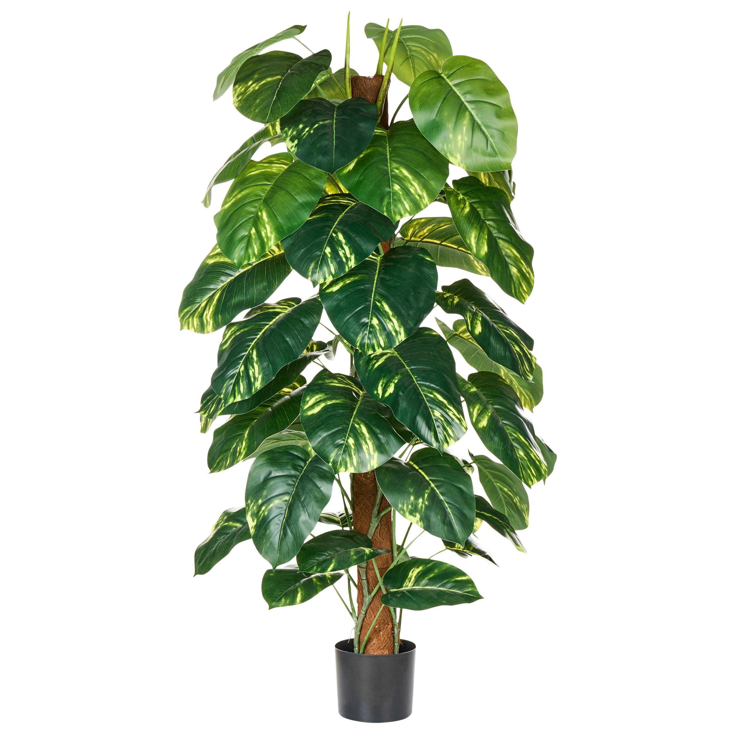 Beliani - Plante artificielle Matière synthétique Vert DIEFFENBACHIA - 86x86x152- Beliani - Image 2