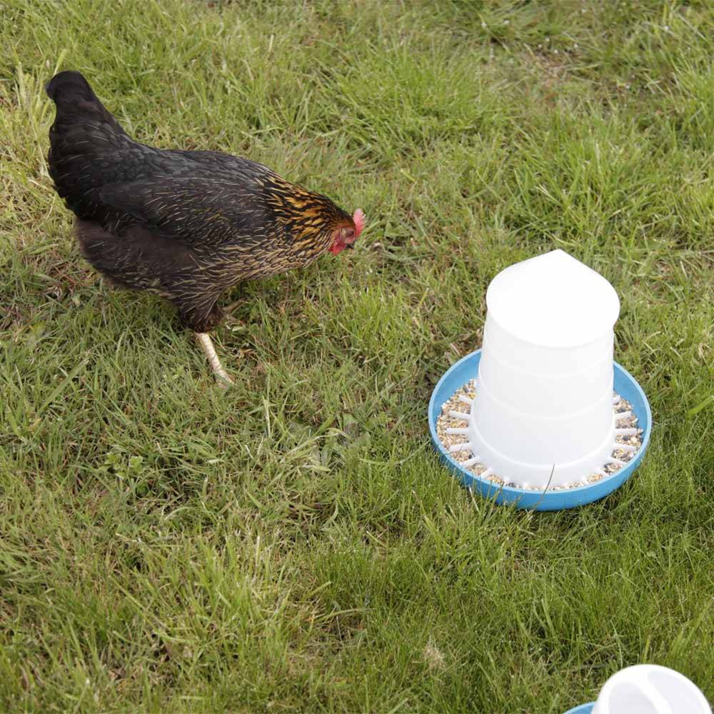 Chick'a - Alimentador Mountain cónico azul 3 kg - Imagen 5