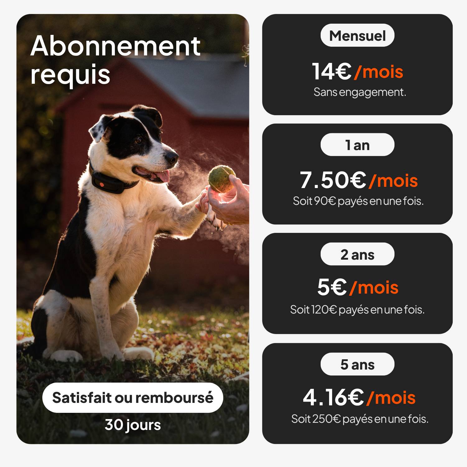 Weenect - Weenect XT - collier gps pour chien (noir) - Image 6