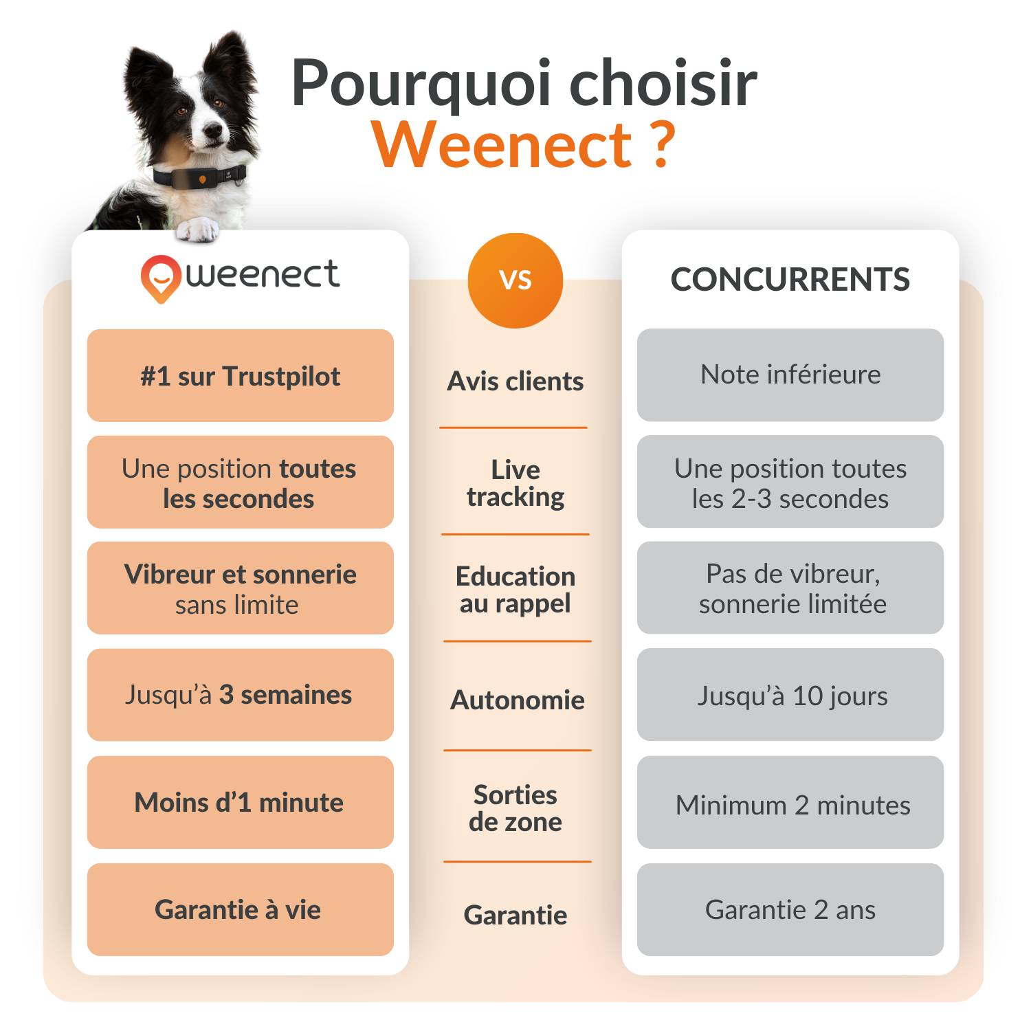 Weenect - Weenect XT - collier gps pour chien (noir) - Image 10