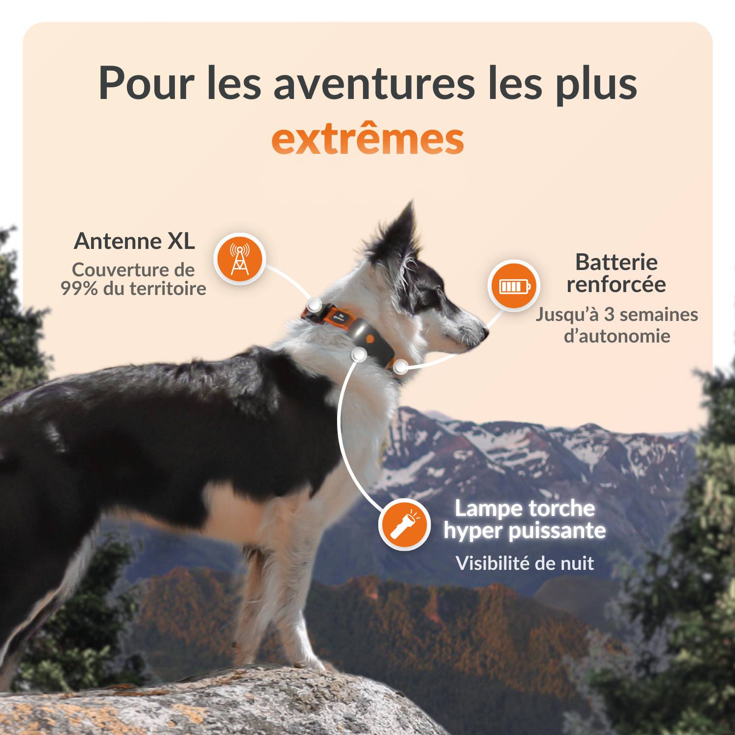 Weenect - Weenect XT - collier gps pour chien (noir) - Image 9