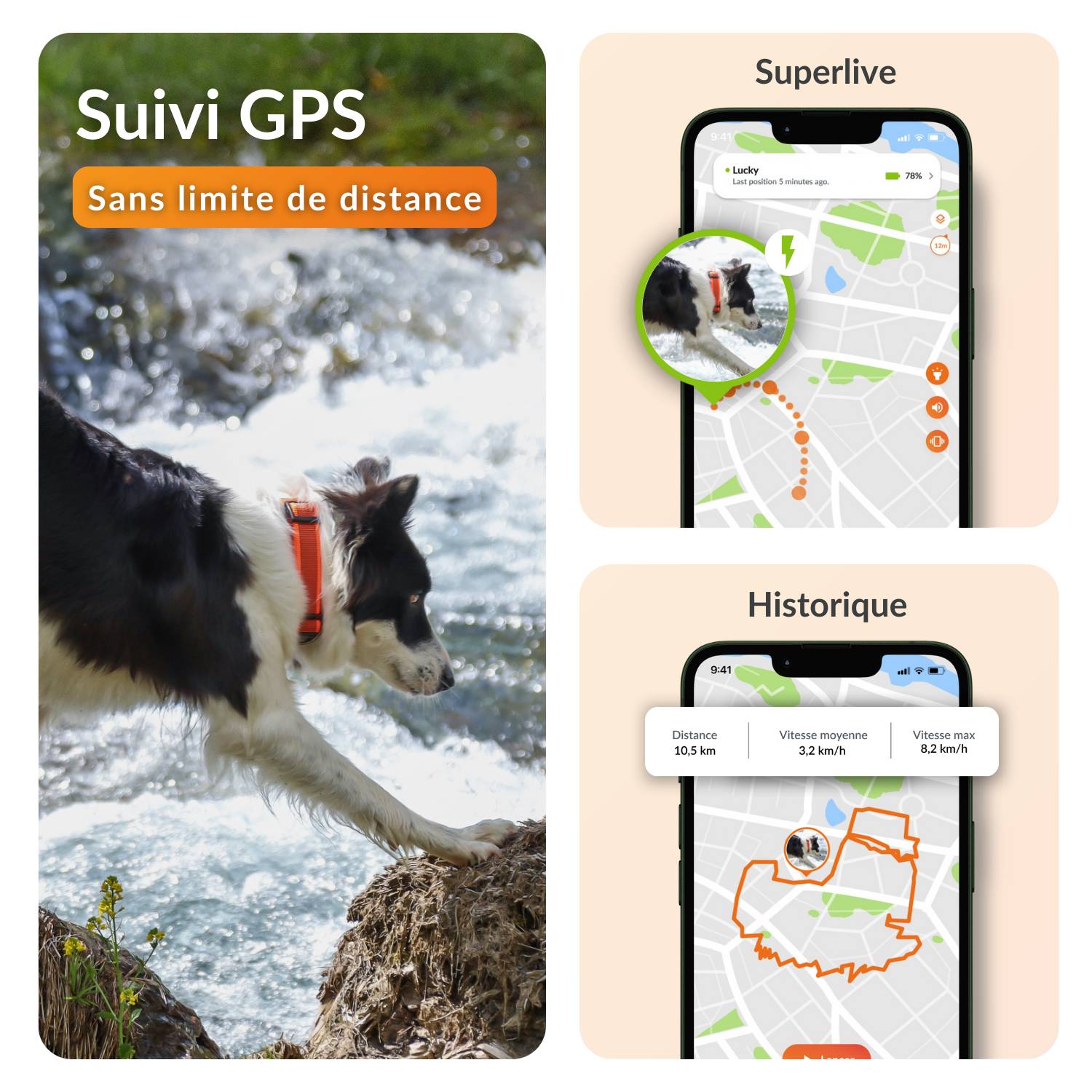 Weenect - Weenect XT - collier gps pour chien (noir) - Image 3