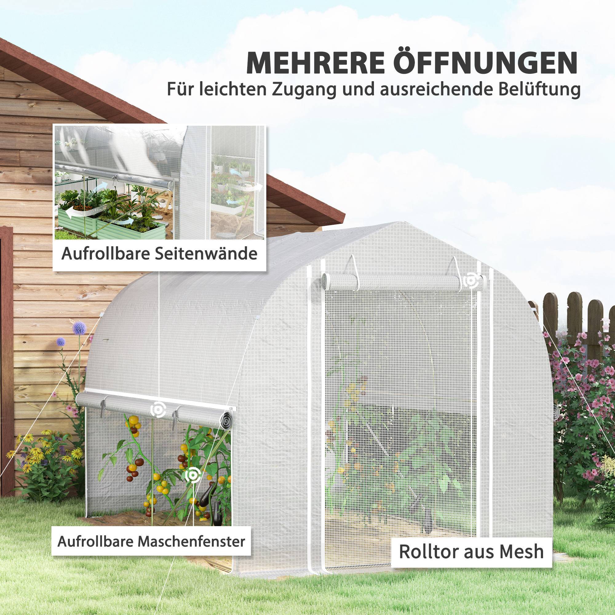 ComfortXL - Serre de Jardin Tunnel 6m² PE & Acier Galvanisé 4 Fenêtres Anti-UV 300x200x200cm Blanc - ComfortXL Outdoor Living - Image 4