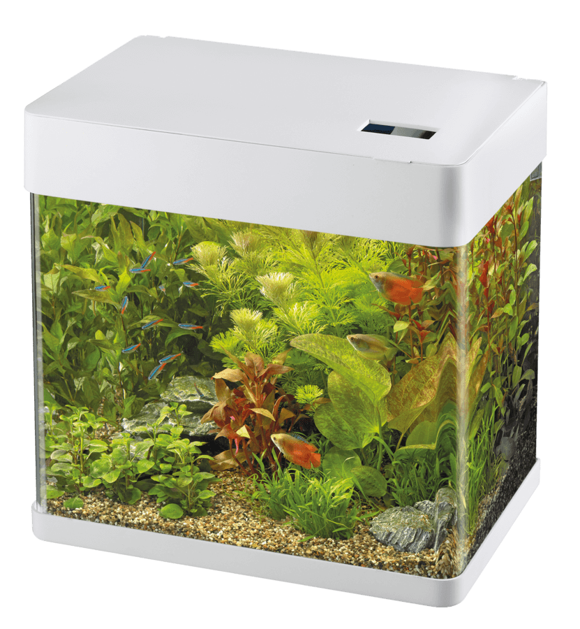 Superfish - Aquarium Panorama 20 LED Blanc 32 x 23 x 35,5 cm - SUPERFISH