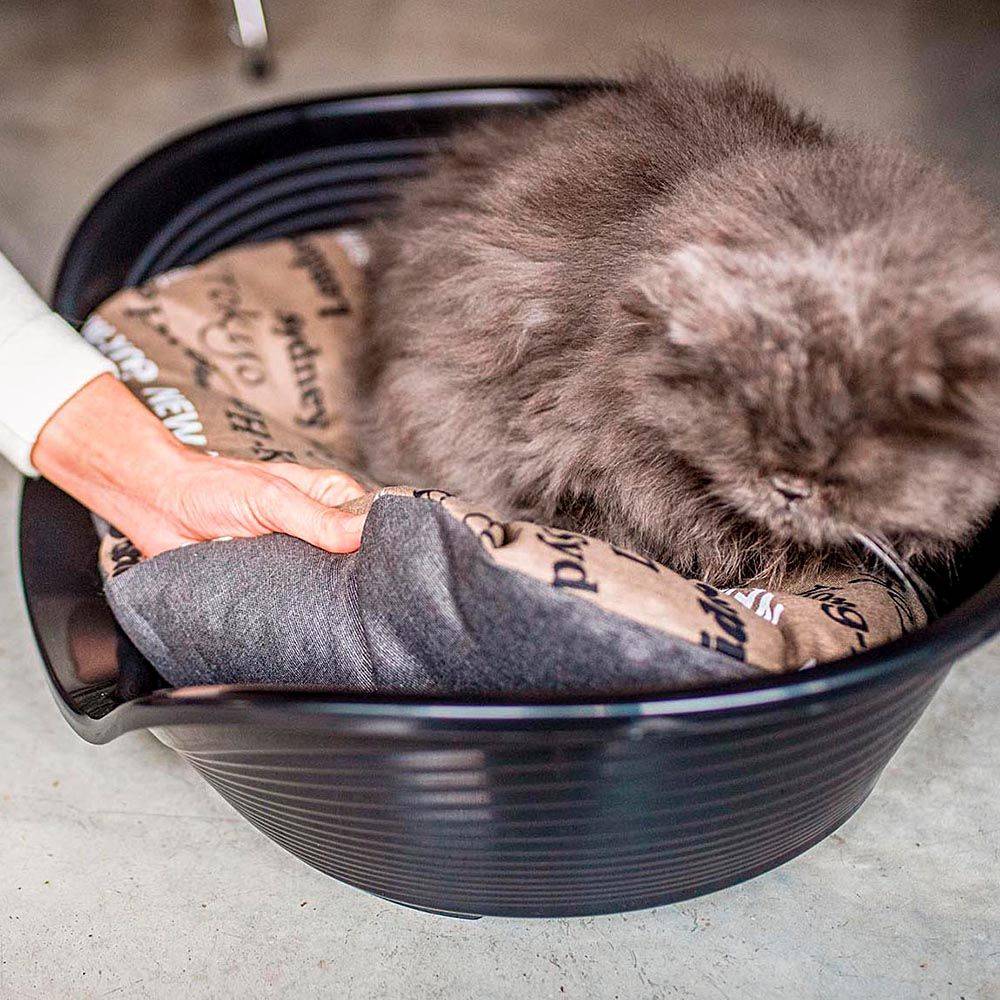 Ferplast - FERPLAST - Panier Chien Panier Chat  - Lit pour Chien en Plastique Small - 100% Plastique Recyclé - Lit pou Chat Lavable - Respirant  Antidérapant - - Imagen 5