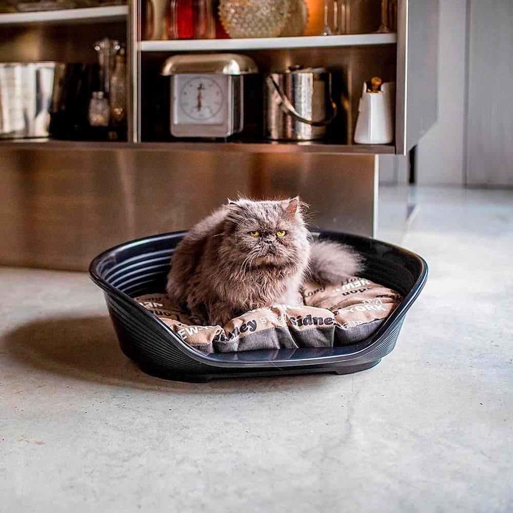 Ferplast - FERPLAST - Panier Chien Panier Chat - Lit pour Chien en Plastique Small - 100% Plastique Recyclé - Lit pou Chat Lavable - Respirant Antidérapant - - Imagen 4