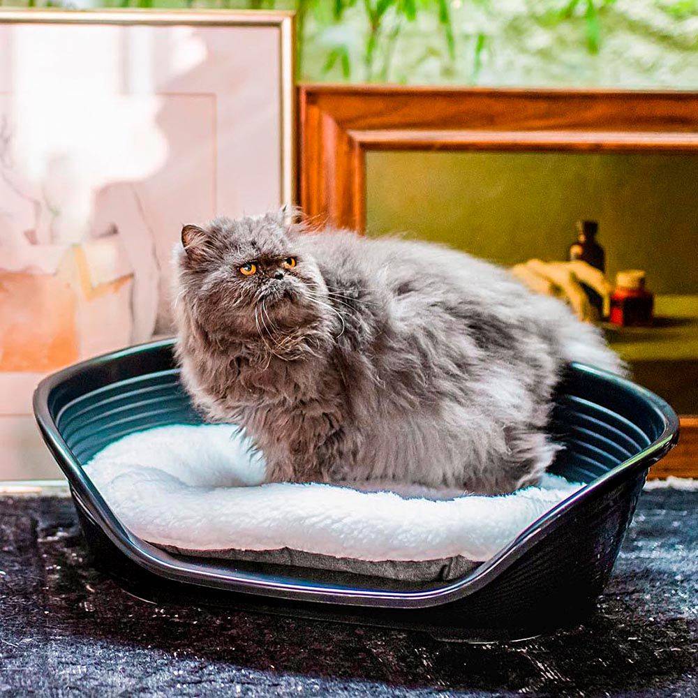 Ferplast - FERPLAST - Panier Chien Panier Chat  - Lit pour Chien en Plastique Small - 100% Plastique Recyclé - Lit pou Chat Lavable - Respirant  Antidérapant - - Imagen 6