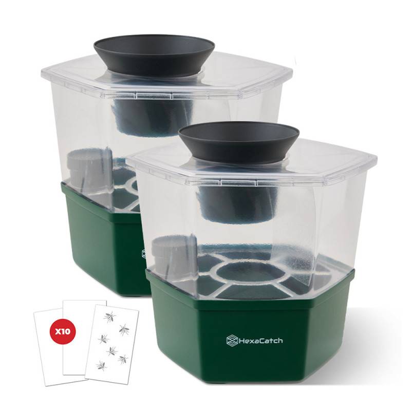 Master Trap - Pack Double Action Anti‑Moustiques - HEXATRAP BY FAVEX – Piège Extérieur + 2 Anti‑Ponte, Solution Jardin - Image 4