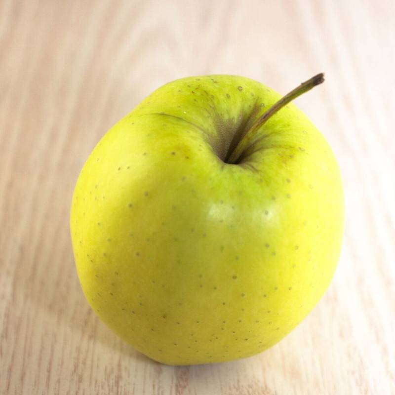 Pommier Golden Delicious - Bon rendement - Pot de 15L - Palmette verrier - 150/175 cm - De 3,00 m à 5,00 m - Imagen 7