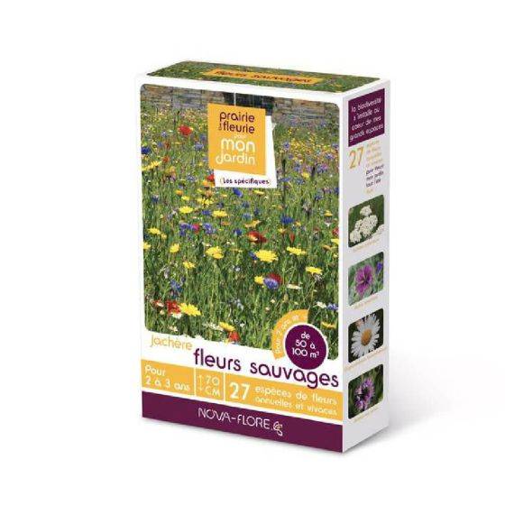 Novaflore - Jachère fleurs sauvages 50 à 100 m2