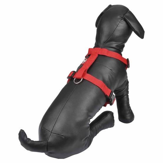 Harnais Réglable Chien "Essentiel" 50-70cm Rouge - Image 2